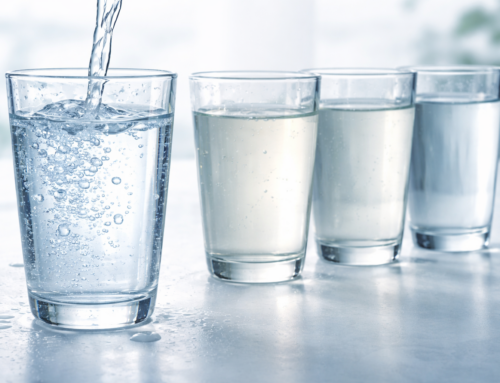 Distilled Water vs Spring Water vs RO vs Filtered: Which Is Best?